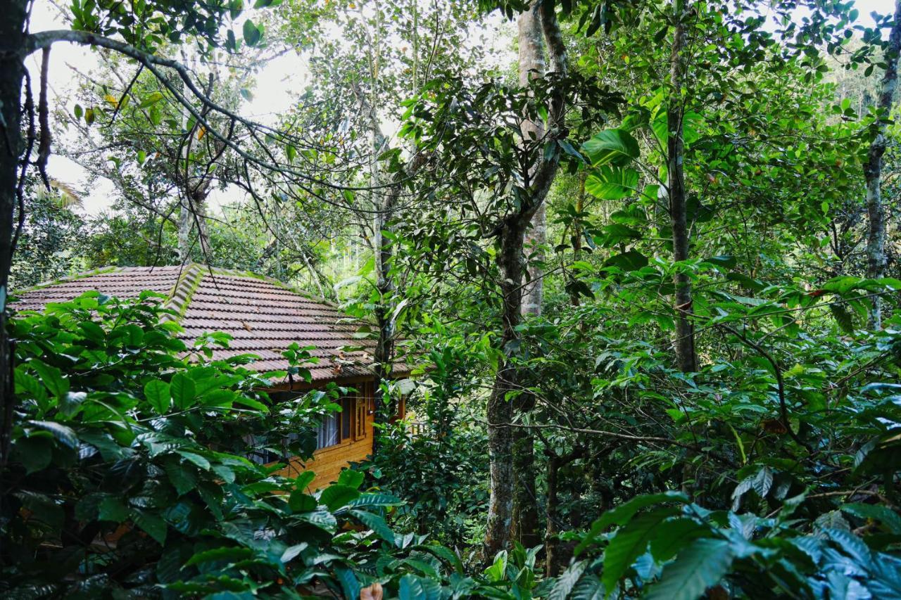 Bamboo Creek Resort Vaduvanchal Exterior photo