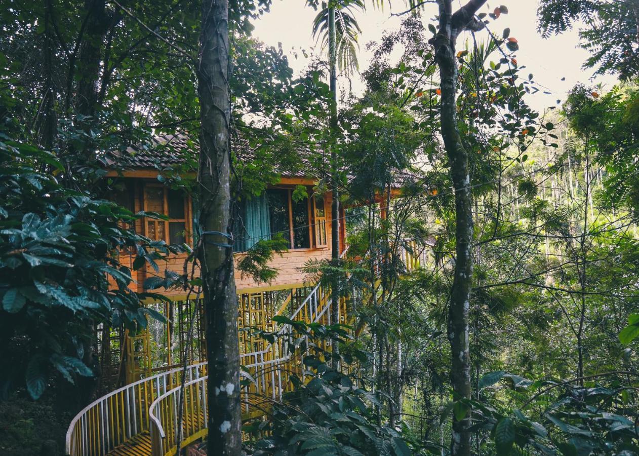 Bamboo Creek Resort Vaduvanchal Exterior photo