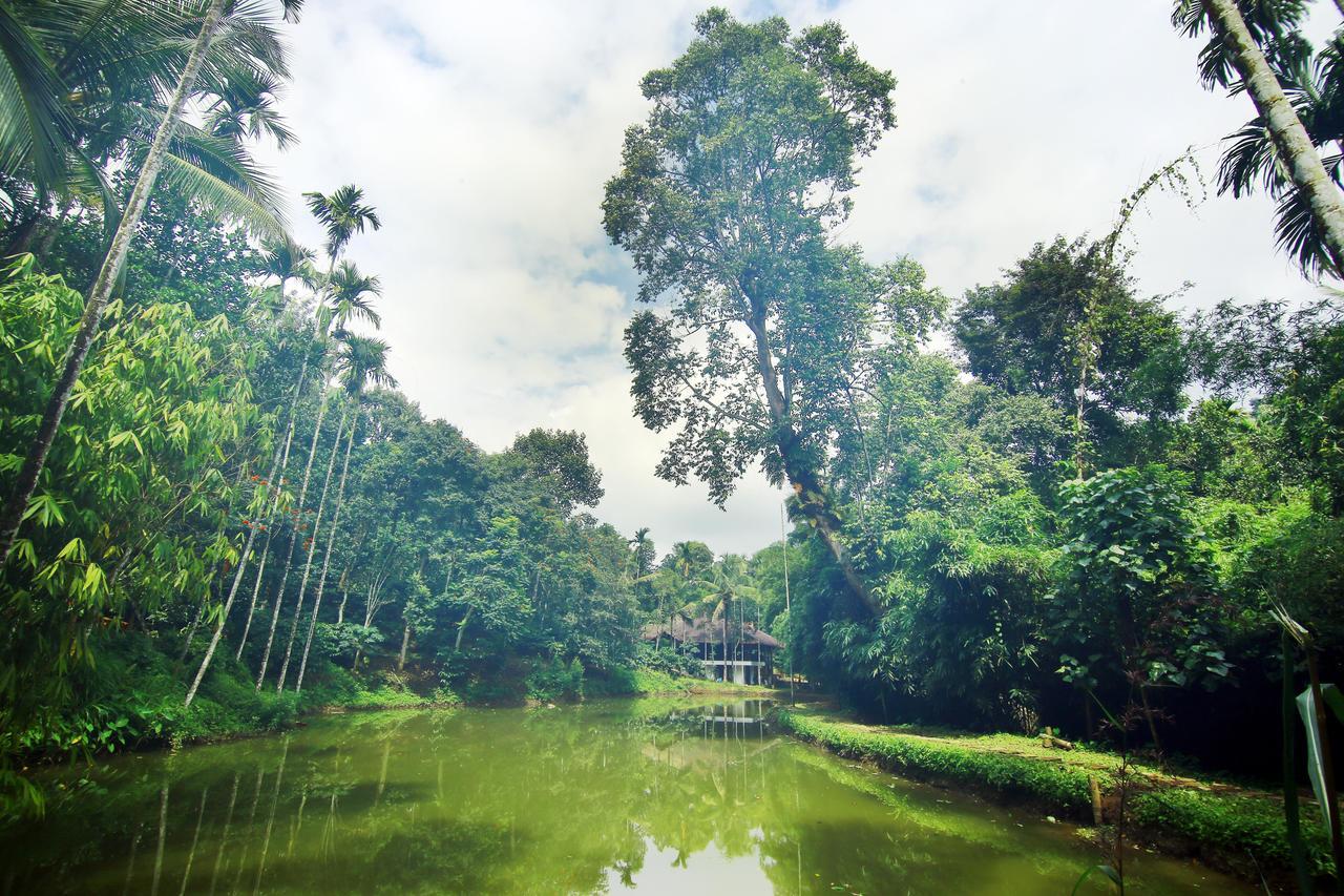 Bamboo Creek Resort Vaduvanchal Exterior photo