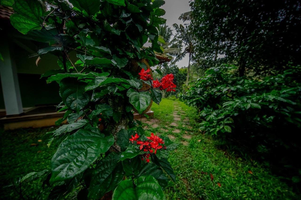 Bamboo Creek Resort Vaduvanchal Exterior photo