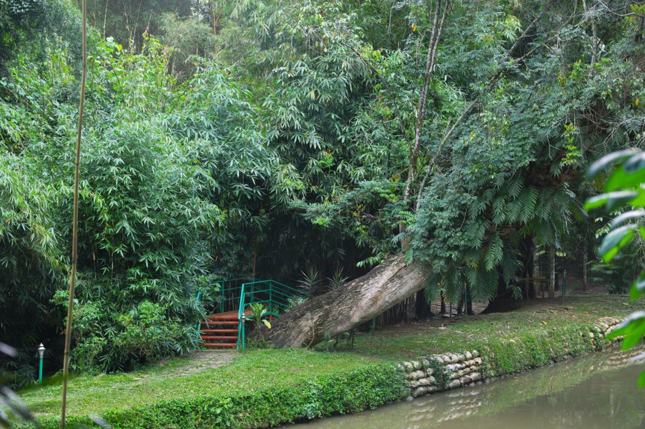 Bamboo Creek Resort Vaduvanchal Exterior photo